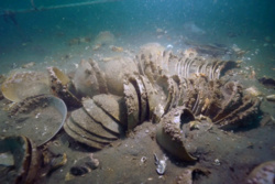 43d30c4f-af2a-4720-a4df-1f490f348fbe