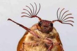 604ba4d8-6c90-42a4-b614-17a9bb561b7c