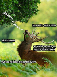 d3664611-2699-418c-8e3c-fafca8fa6c30