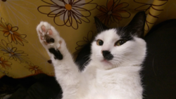 5e05a193-1c83-4bcc-8a4e-57be675935ab