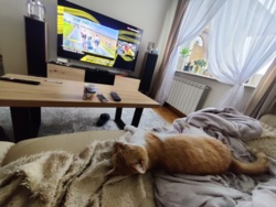 71f26350-88f4-4c67-a169-e08b3361af9e