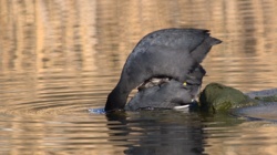 da14c13f-b81f-4039-93da-1baf664d945f