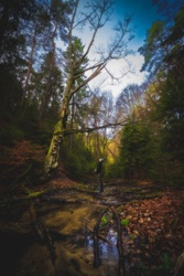 8bec0525-324d-4536-ae08-af736cfbc898