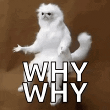 9d062bcc-9678-498c-aaed-01a6943e1d52