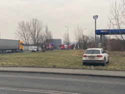 930c0dfe-46b2-418e-90e2-9d1d0e39555c