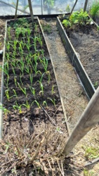 5fc4a0e9-7d0a-489a-8a06-7e82bb1c7cb2