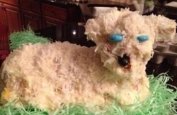 49f6f921-d77d-4c71-b748-e7779d42fc50