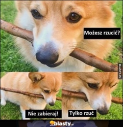 ce5b1add-ddd2-46bf-9bb5-2c46ae5e6705