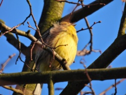 16d23ad5-5ce1-457b-9997-da029d23e571