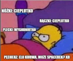 fd4884a0-7154-4932-96db-851db2c066e1