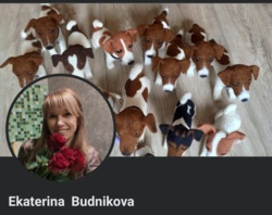 d8888004-c957-4255-8593-91901c3dbacb