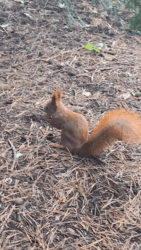 e8aac79c-5ad0-43f2-84db-beded72ca0cb