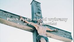 382fec16-f664-4153-a0f2-00473bed5652