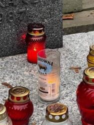 51e8d5c5-bf48-4c5b-8cdf-4f0d5f6922b3