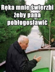 87d6f405-8504-448a-9a14-b408f0eca761