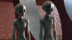 a6cd844c-05d5-4431-9f16-c60b29020685