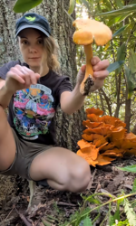 fca4784e-3a12-4014-afeb-c74d3d77f676