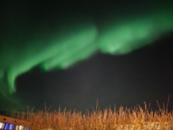 ef579ca3-28d8-48cb-8f9c-8272dc5de30e