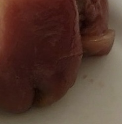 8ff491fa-0336-4a80-8b8d-17202c1a2d6f