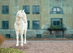 cc13393a-8c61-4cbc-a47b-8d936cf53e93