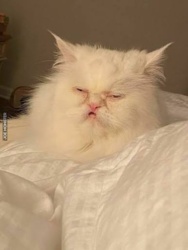 ecefadc1-aa73-4115-b849-ce2eb99f4287