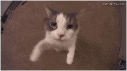 7d5c658a-1b69-434a-937a-0ecf2c4f9e27