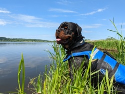 055ae8ef-f4f2-4abb-a267-557577f363bb