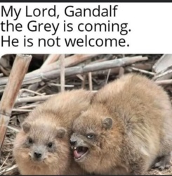 2674e4f0-7471-4fae-82e7-781c30a7abc7