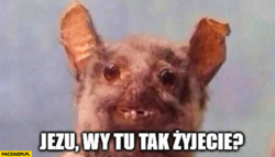 2e23fefd-8f5a-4d91-a1aa-610cd88a2c27