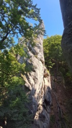 01c1ff5a-bd87-441b-84b8-d87df4b2323e