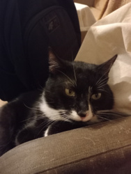 97531db5-fa6e-4604-a523-7d4c2841dc98