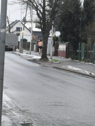 2a16f6cb-6c1d-491d-9087-3584cd27544c