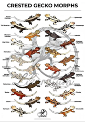 36004616-8c41-412c-b6ea-4509cfd008a8