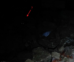 ae810cc7-57c9-4741-931d-2afb956e4f0f