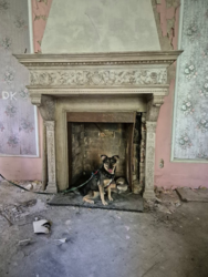 04898e84-a0db-4048-b532-ccf25f65e216