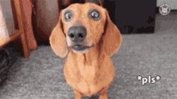 b5a6b690-9f55-44f3-afdb-9c6990a0b0ce