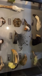 c2793105-fdfc-49cc-a811-73794aa032fc