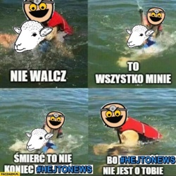 0603f970-e838-494e-ac15-645f063d6e75