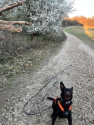 43bfb264-f273-439f-9b1e-7897a0e4e8b7