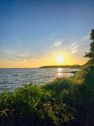 d71af27e-3895-4c46-9597-8ce8b0317ad7