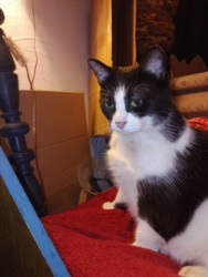 f7acd446-fb63-41ed-a2c2-36a7f9d0c1c8