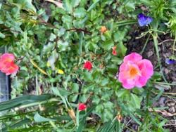 7a00609f-9172-4014-9f6f-a6c6ef76917f