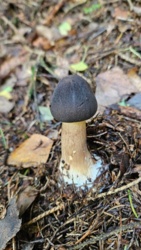 b43b8364-4ae7-48ce-87c9-bc46fb46a924