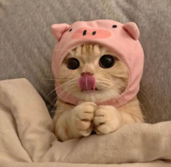 9fec324e-c32a-4b94-bc2e-c963a33800f0