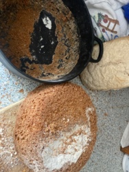 03aa86cd-2d2b-4110-ae5f-9f7e896e4b45