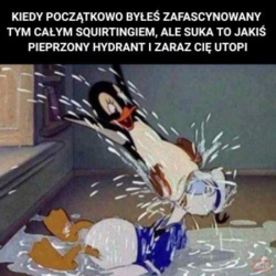 12e5e808-2d41-4fdf-9c6a-68bfd2de1613