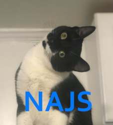 e586f95f-4493-4579-80e2-810a9c112adf