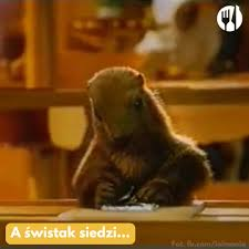 c07b697e-b426-4fb8-a56a-77996c867e36