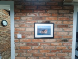 0fc00cd3-3d30-41c6-ad0f-e2af5c551a93