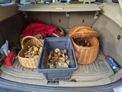 9aa5b732-152c-40ac-8c3a-b37b3463d966